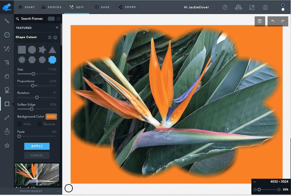 How can you save your pictures from instagram Best photo editing software for pc 2020 free download